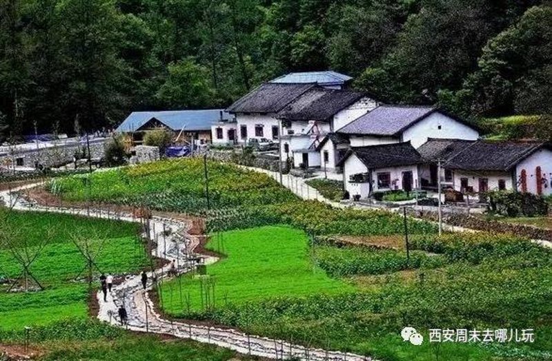 西安台球厅选购指南：打造你的专属娱乐空间